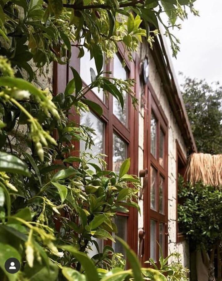 Zevkliler Alacati Boutique Hotel & Fine Dining Exterior photo